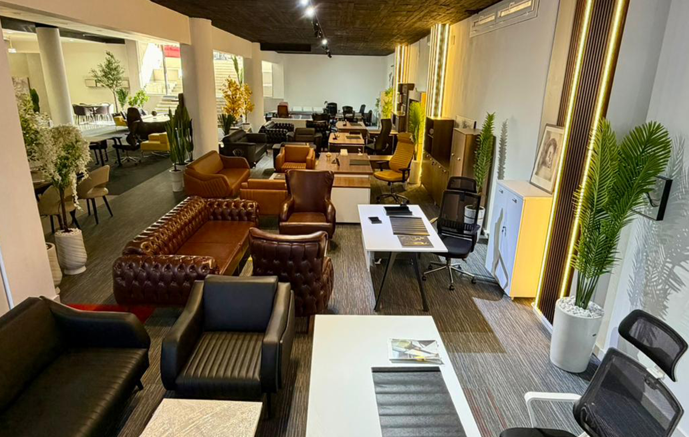 شحن المواشي